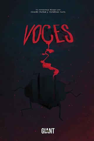 Voices poster