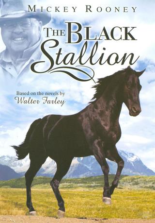The Adventures of the Black Stallion poster