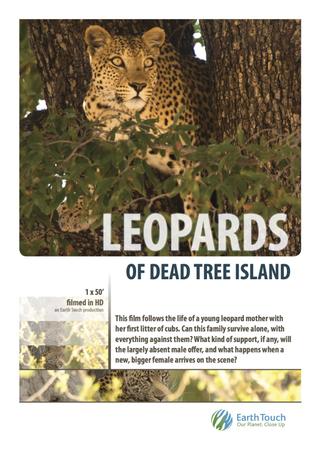 Leopards of Dead Tree Island poster