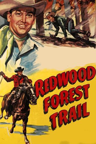 Redwood Forest Trail poster