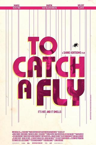 To Catch a Fly poster