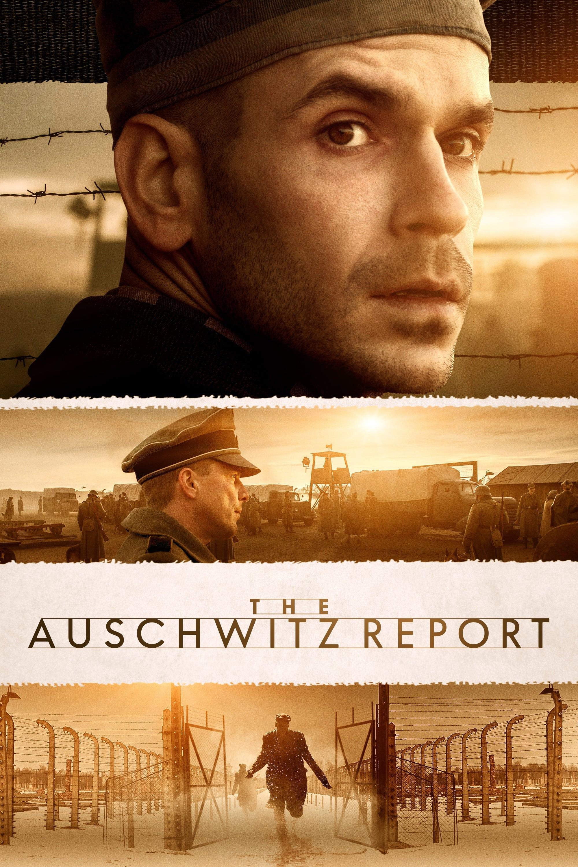 The Auschwitz Report poster