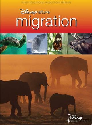 Disneynature: Migration poster