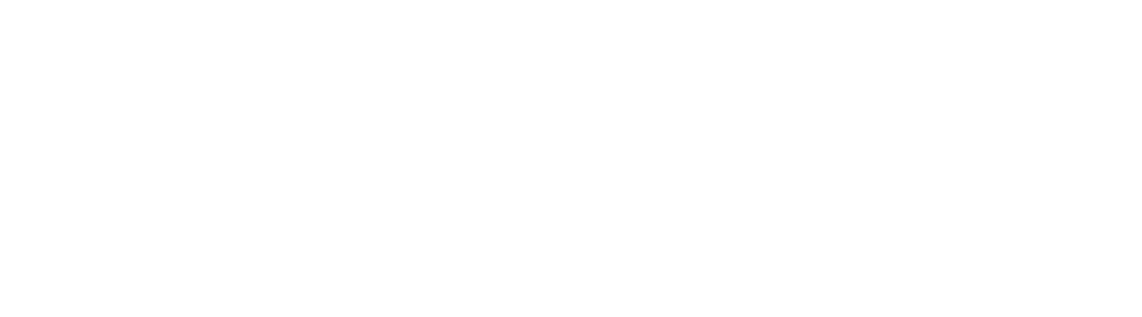 Crank: High Voltage logo