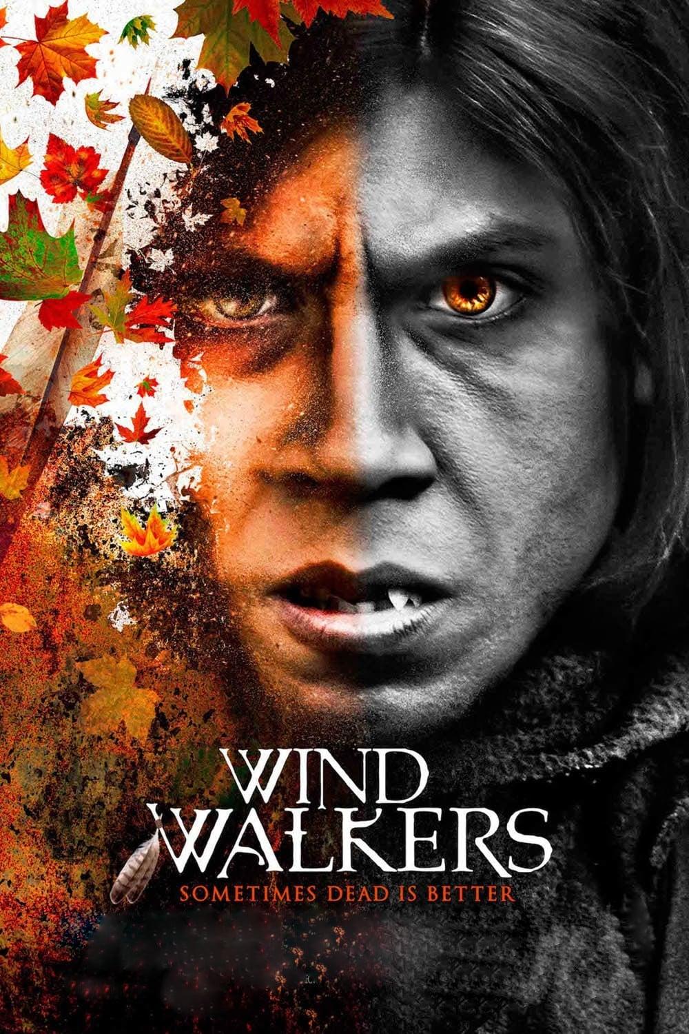 Wind Walkers poster