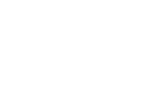 Corbin Nash logo