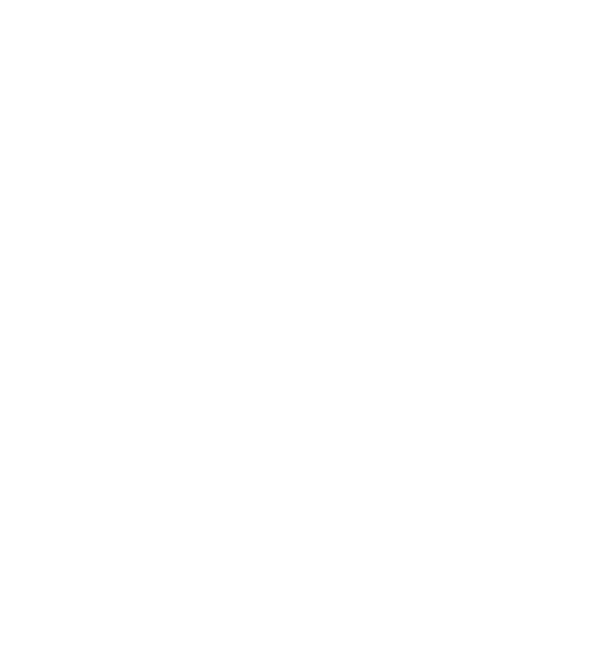 Take Back the Night logo