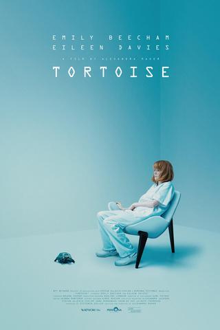 Tortoise poster