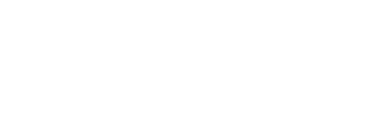 The Dirty Dozen logo