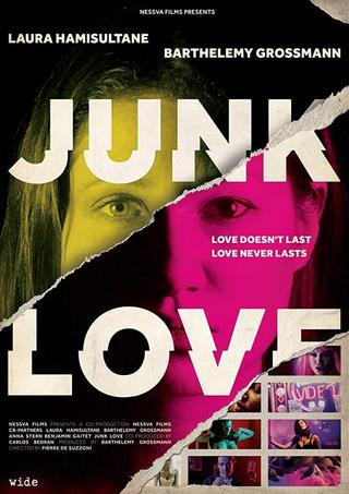Junk Love poster
