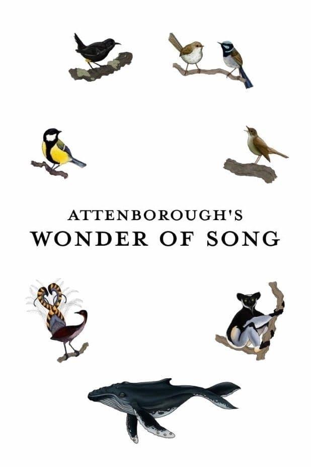 Attenborough's Wonder of Song poster
