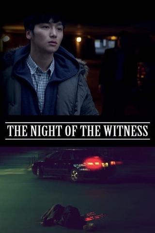 The Night of the Witness poster