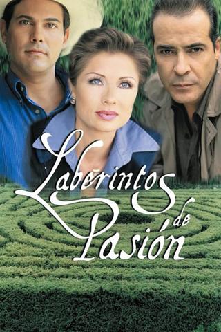 Labyrinth of Passion poster