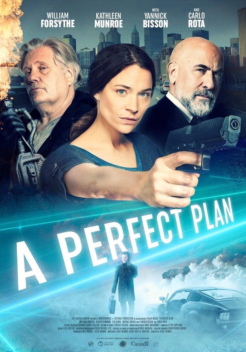 A Perfect Plan poster