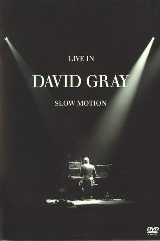 David Gray: LIVE in Slow Motion poster