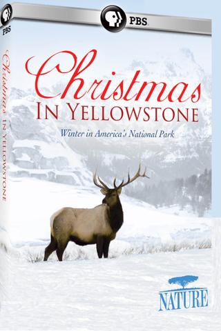 Christmas in Yellowstone poster