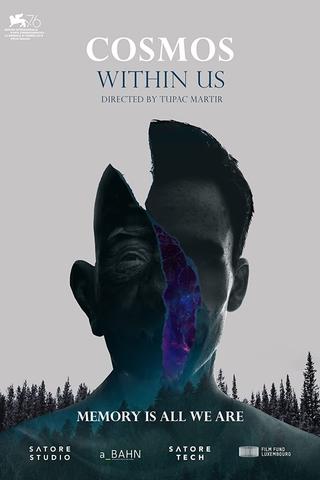 Cosmos Within Us poster