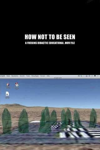 How Not to Be Seen: A Fucking Didactic Educational .MOV File poster