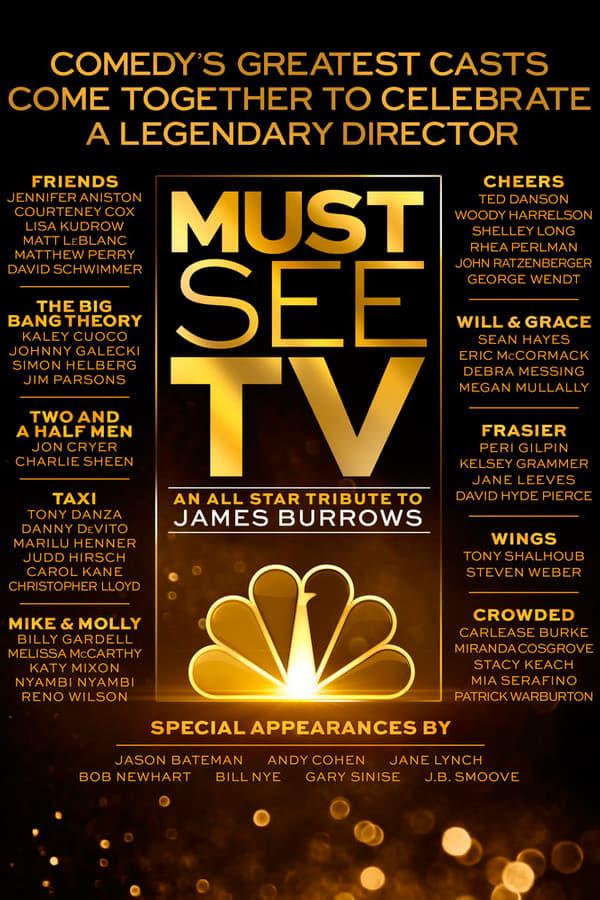 Must See TV: An All Star Tribute to James Burrows poster
