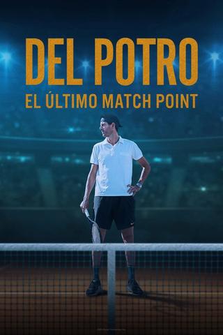 Del Potro, el último match point poster