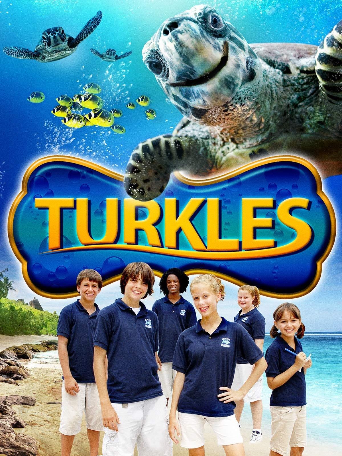 Turkles poster