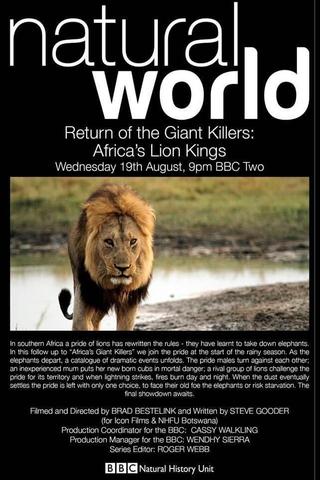 Return of the Giant Killers: Africa's Lion Kings poster