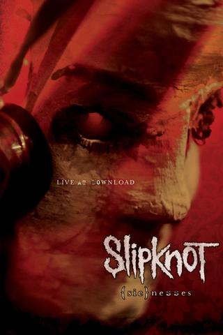 Slipknot: (sic)nesses poster