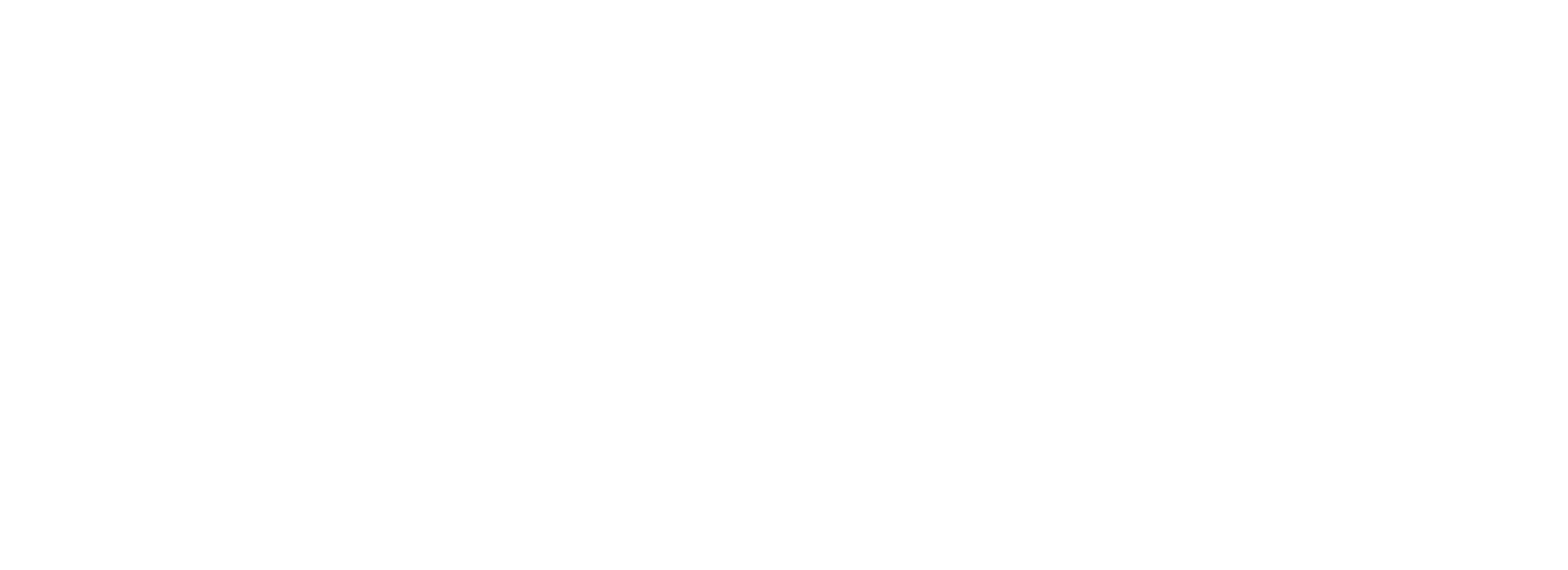 Mikey and Nicky logo