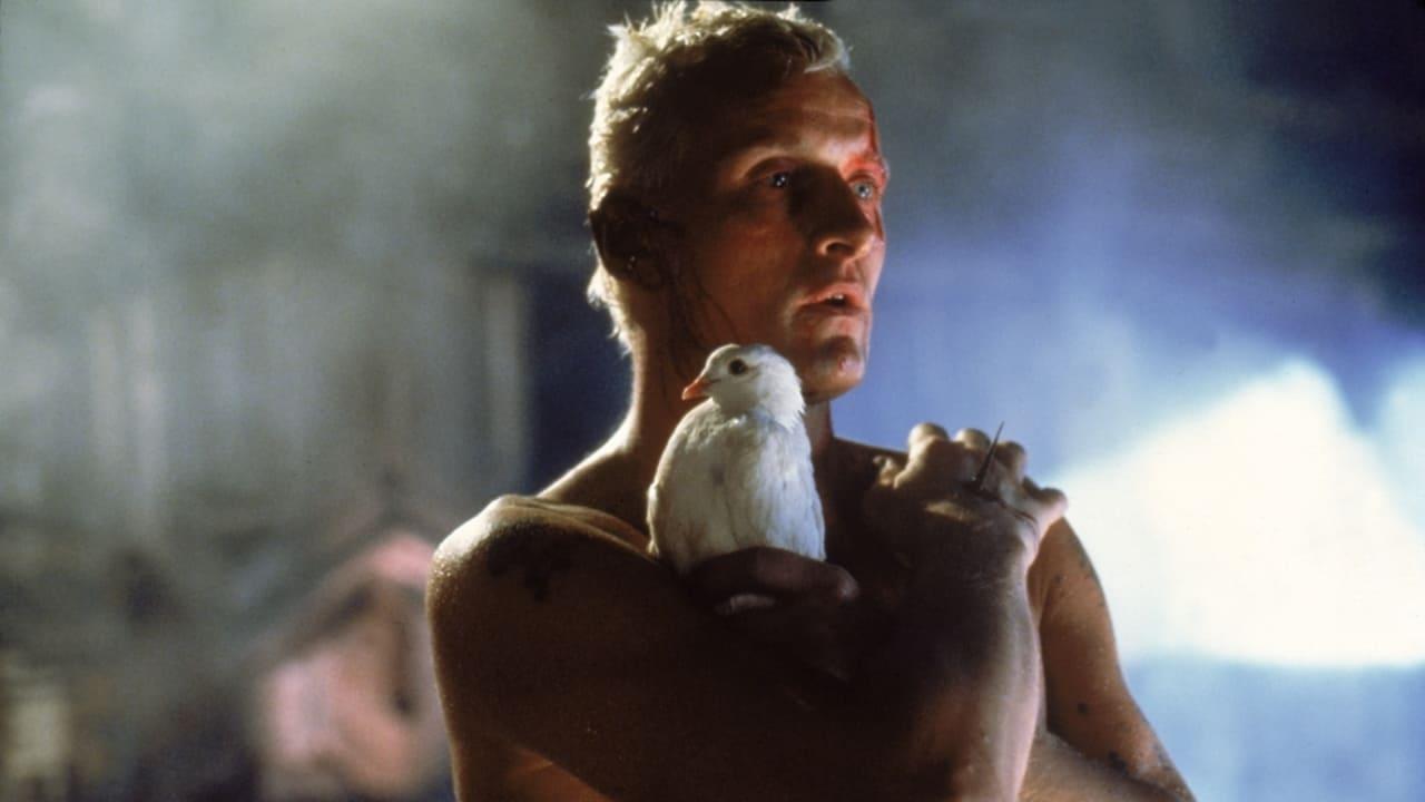 The Blade Runner Phenomenon backdrop