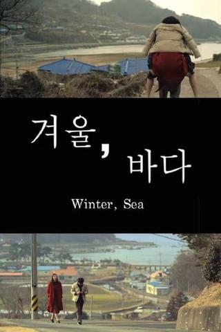 Winter, Sea poster