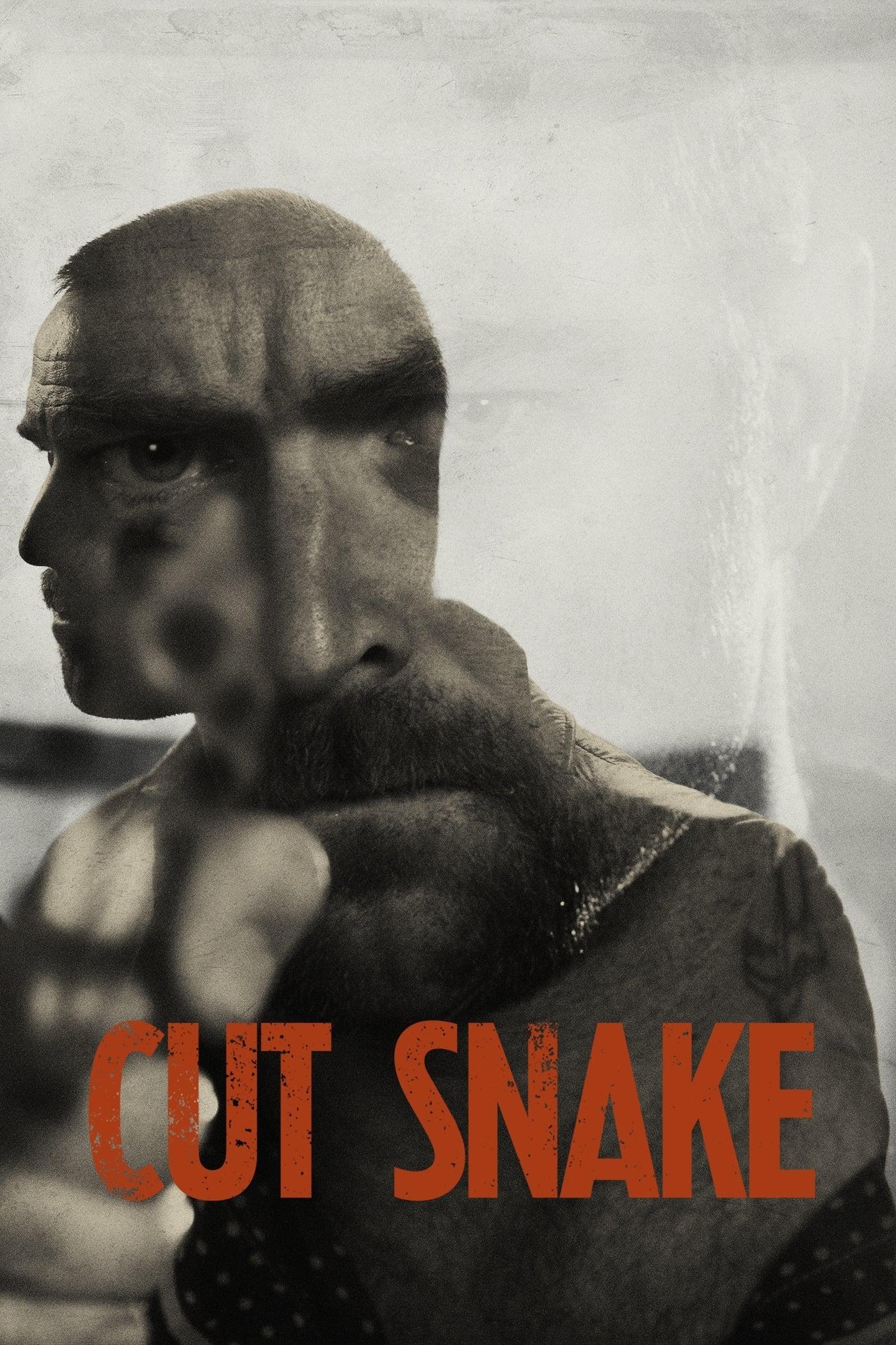 Cut Snake poster