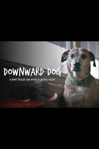 Downward Dog poster