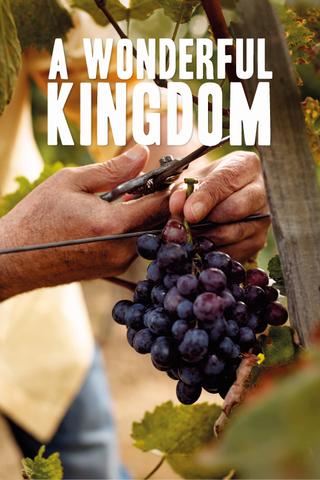 A Wonderful Kingdom poster