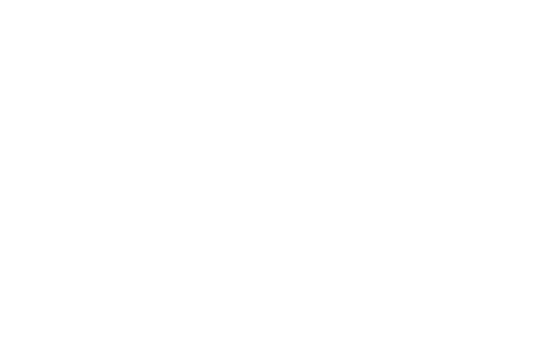 The Fisher King logo