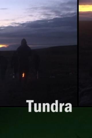 Tundra poster
