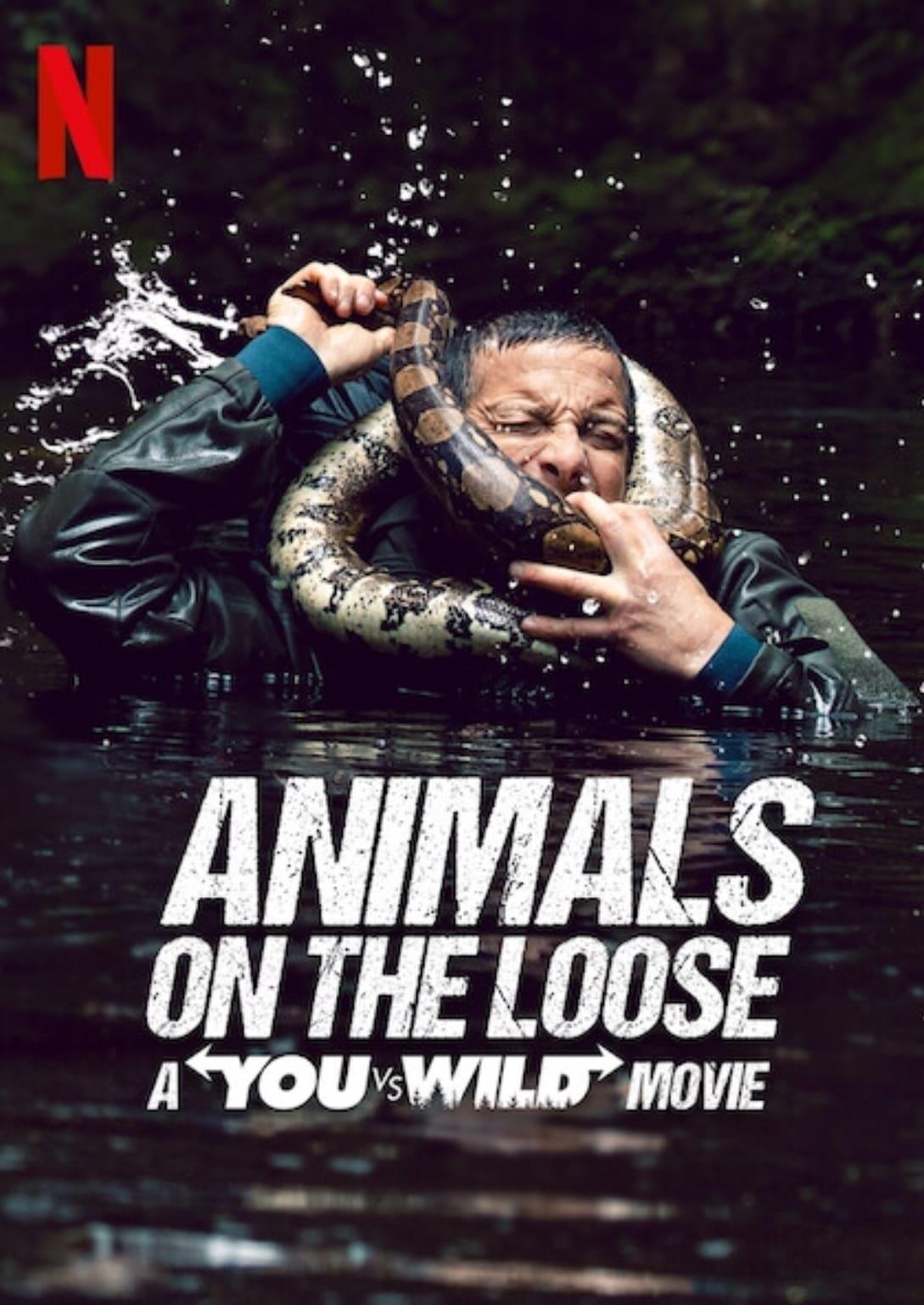 Animals on the Loose: A You vs. Wild Interactive Movie poster