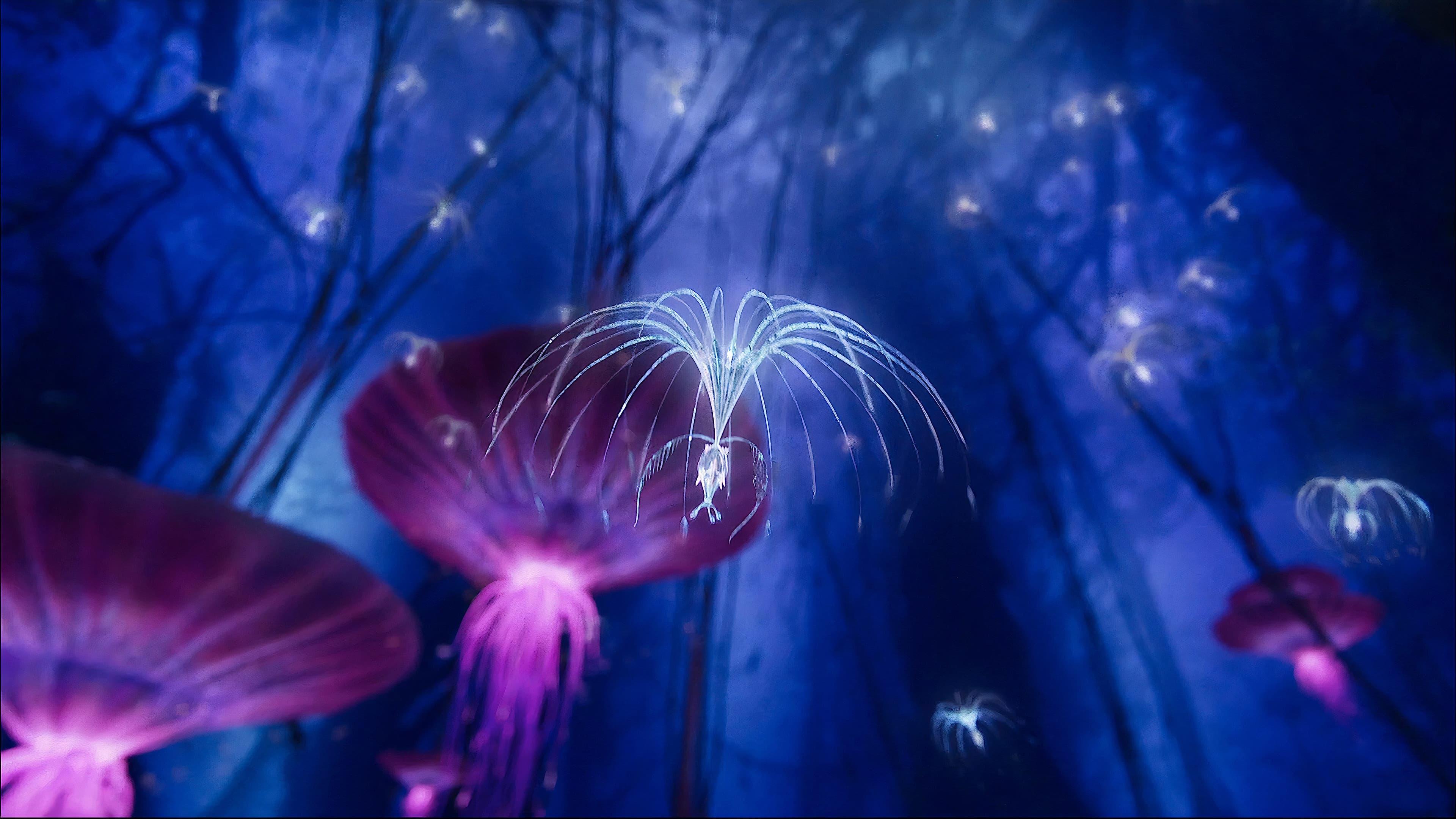Avatar: Creating the World of Pandora backdrop