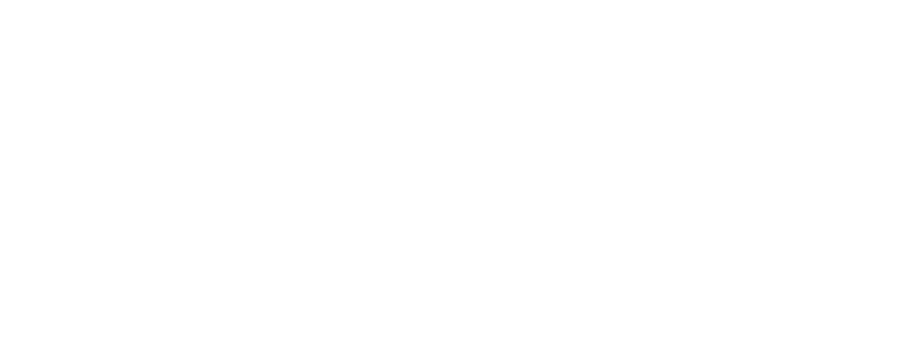 While You Were Sleeping logo