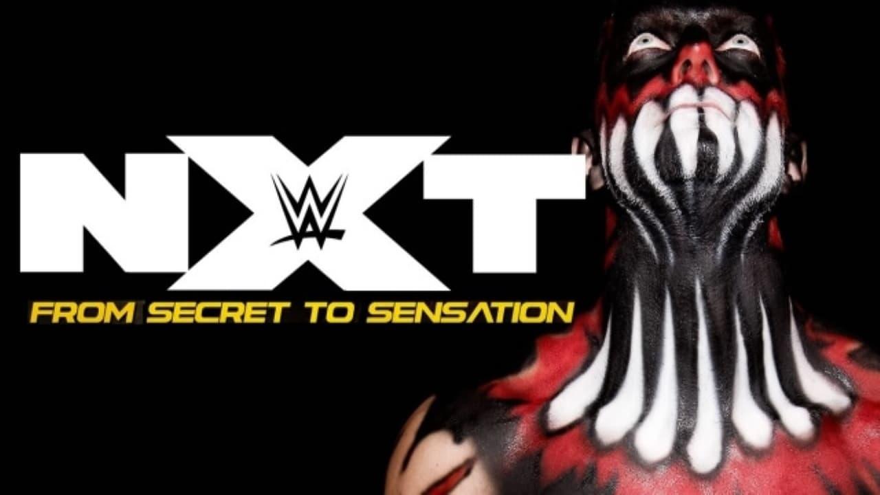 NXT: From Secret To Sensation backdrop