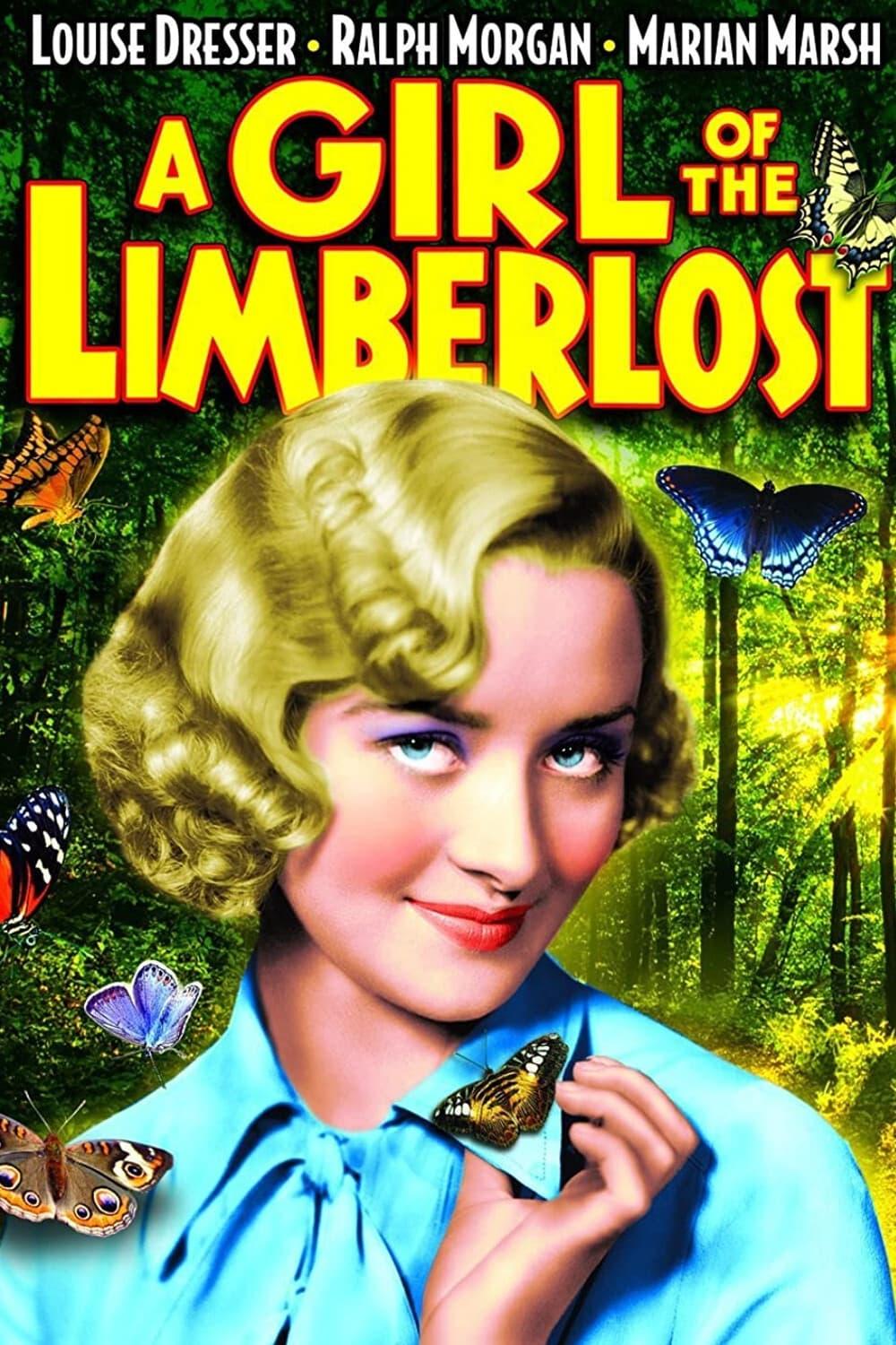 A Girl of the Limberlost poster