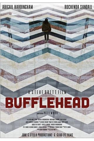 Bufflehead poster