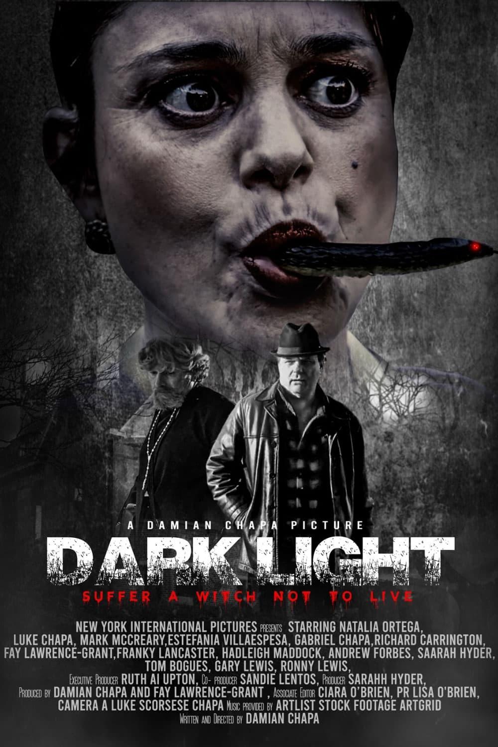 Dark Light poster