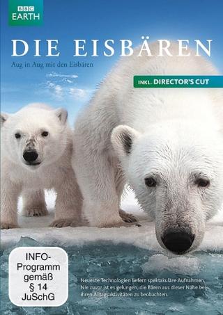 Polar Bear - Spy on the Ice poster