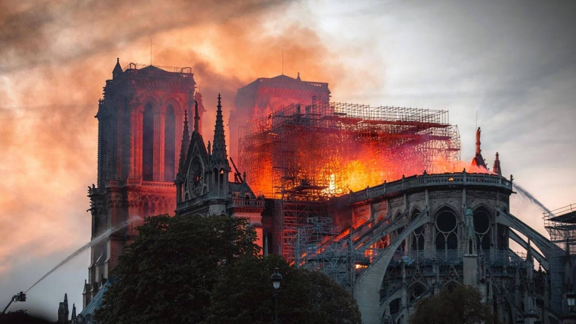 Notre-Dame on Fire backdrop