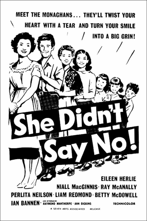 She Didn't Say No! poster