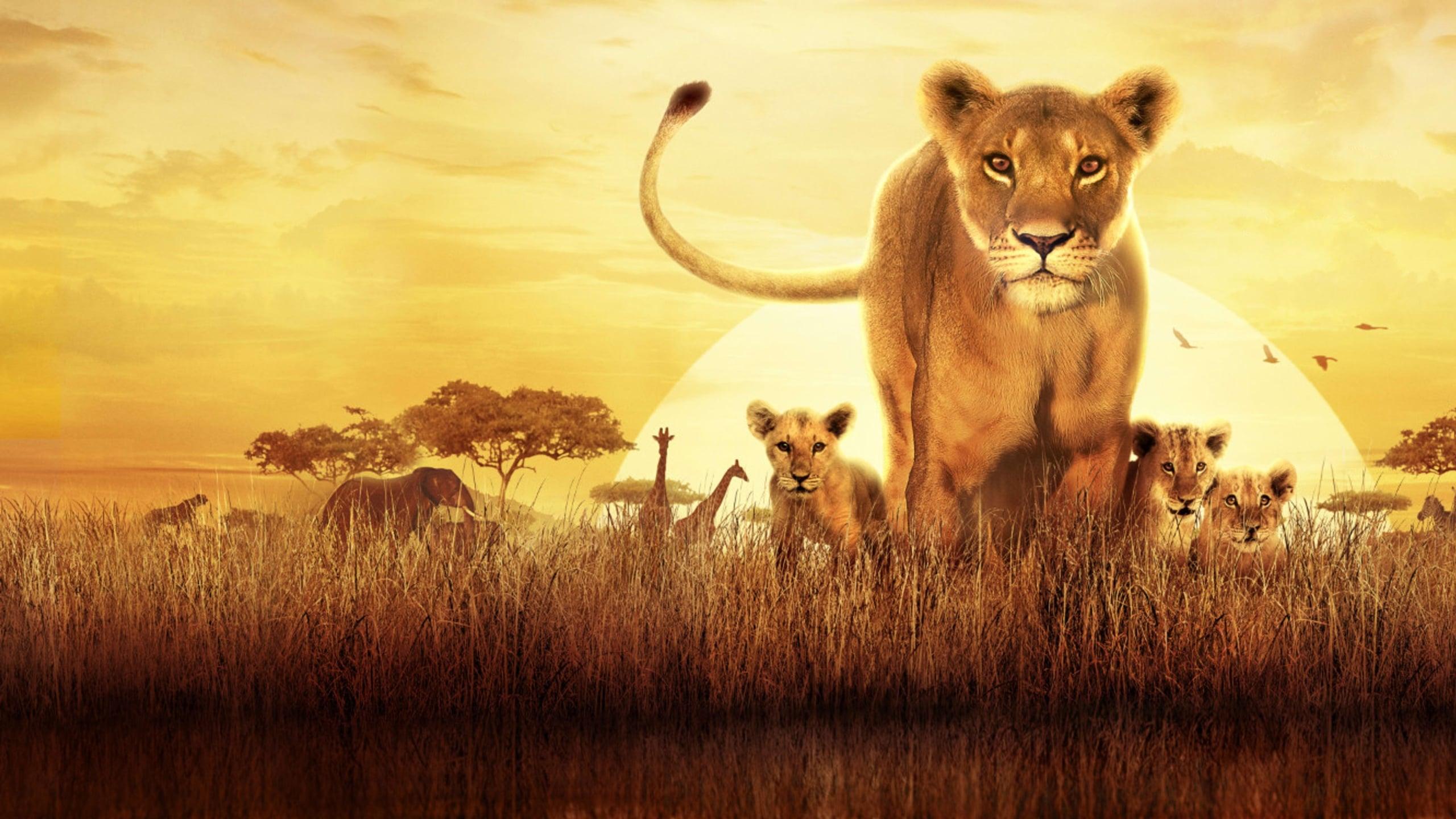 Serengeti backdrop