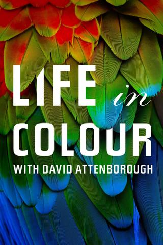 Attenborough's Life in Colour poster