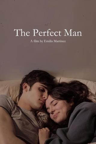 The Perfect Man poster