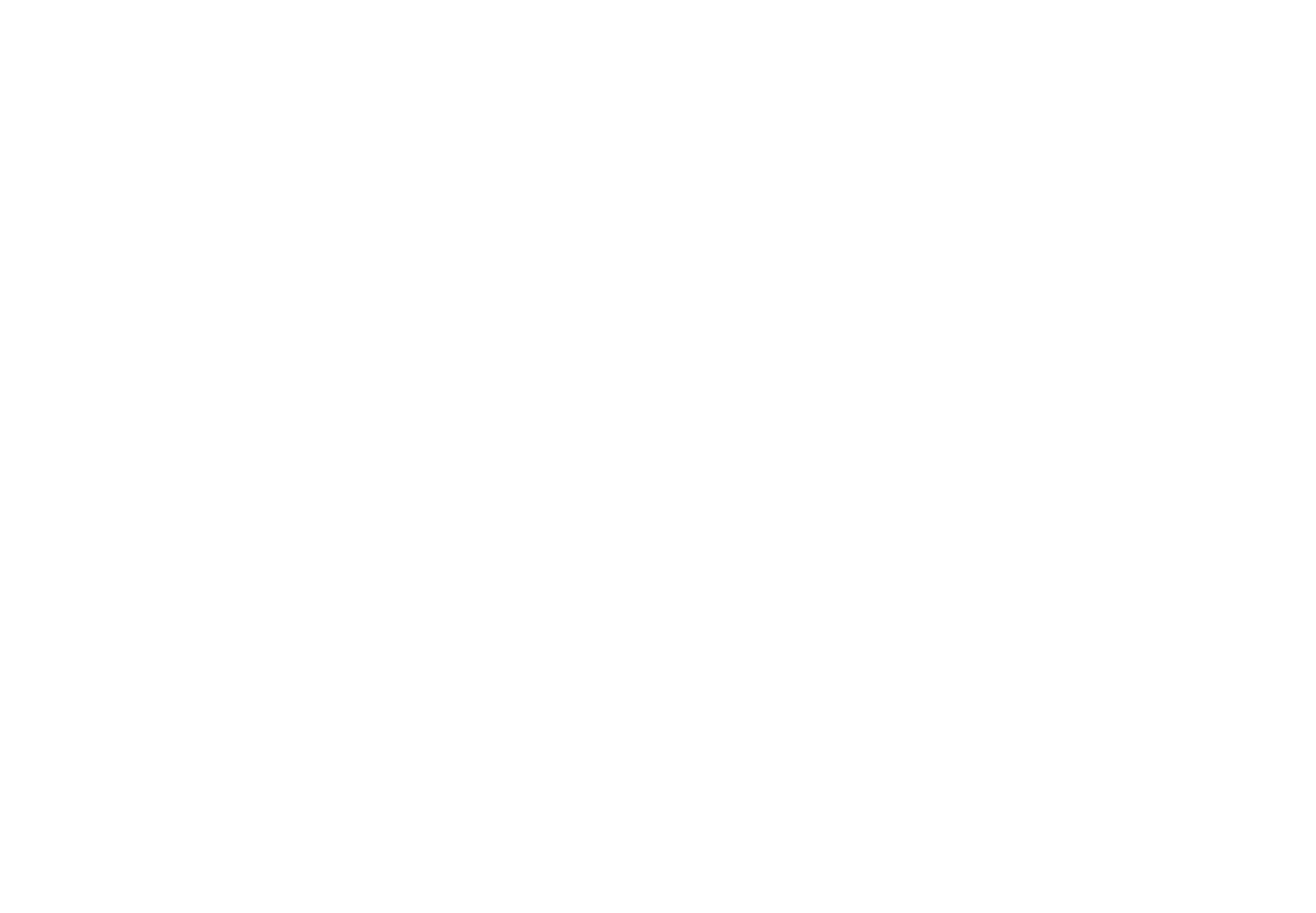 The Atom Ant Show logo