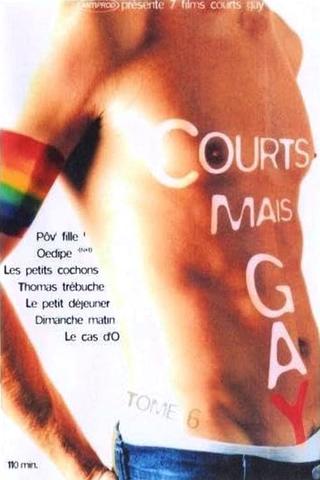 Courts mais Gay : Tome 6 poster